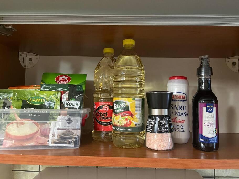Apartament Theta- Langa Centru, Cada Hidromasaj Szucsáva Kültér fotó