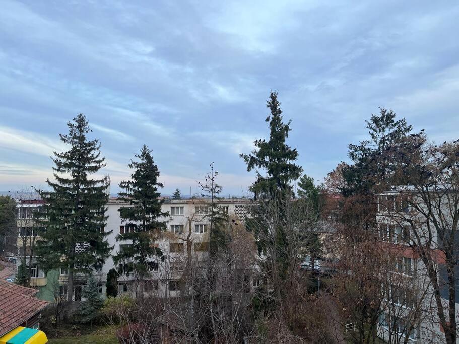 Apartament Theta- Langa Centru, Cada Hidromasaj Szucsáva Kültér fotó