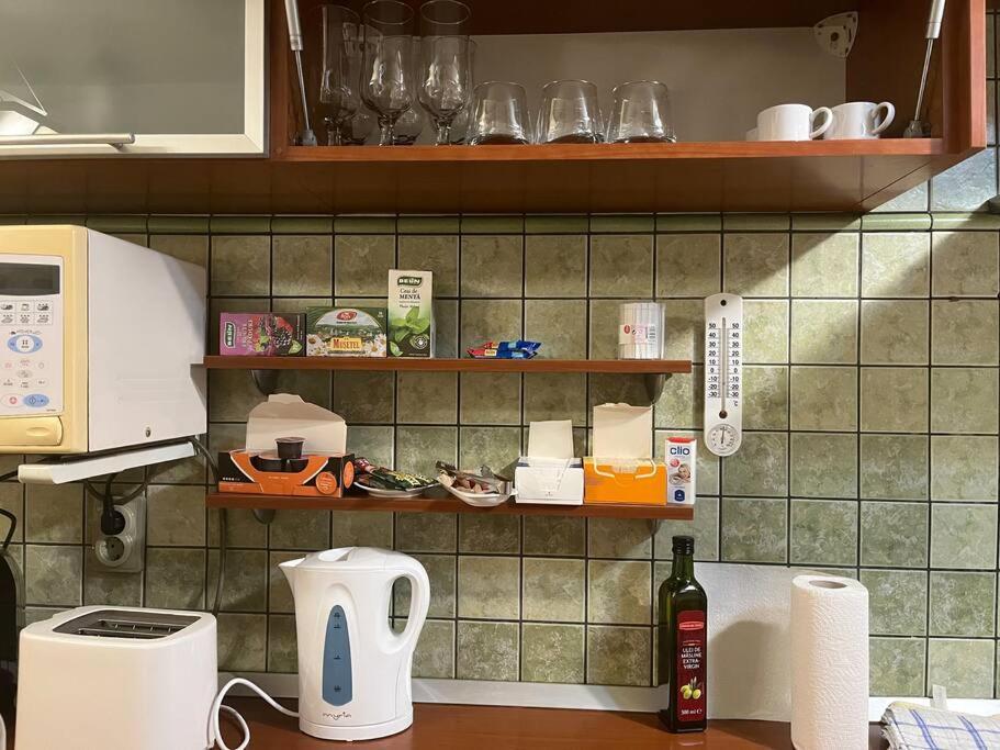 Apartament Theta- Langa Centru, Cada Hidromasaj Szucsáva Kültér fotó
